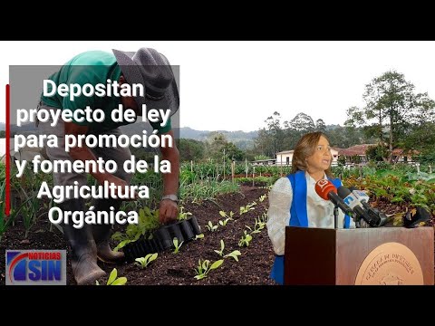 Diputada deposita proyecto de ley para la promoción y fomento de la Agricultura Orgánica