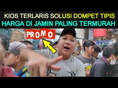 🎉 SPESIAL HARI ULTAH ADA PROMO GEDEN DI JAMIN TERMURAH KIOS JKJ PASAR BURUNG PRAMUKA HARI INI