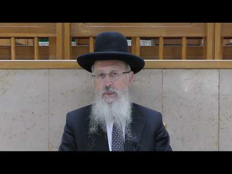 הגאון הרב אברהם יוסף שליט"א דיני והלכות ימי בין המצרים תשפ"ו