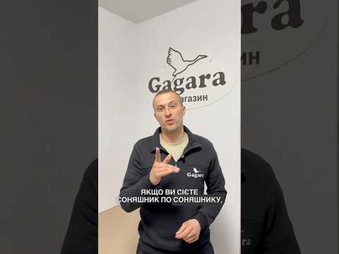 Втрати врожаю 🌻 до 10% через ПЕРЕНОСПОРОЗ.