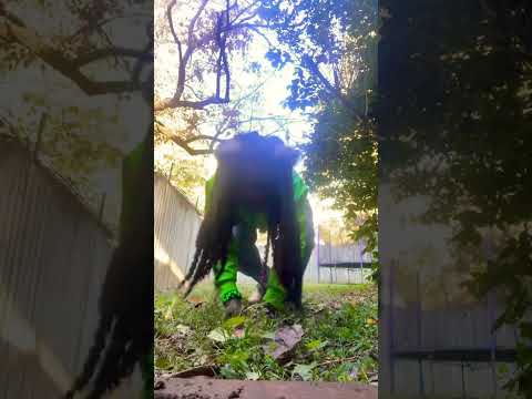 Cat shenanigans!🥳 #furry