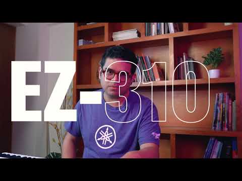 Cosas que no sabias del EZ-310