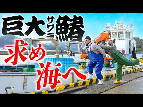 夫婦で定置網漁をした寒鰆を獲りたてで食べた結果・・・【京都】