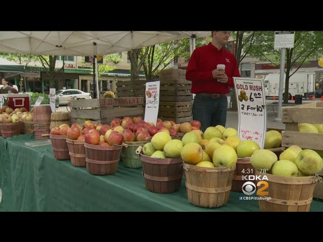 EBT Cardholders in Minnesota Can Now Use Food Stamps at Farmers Markets