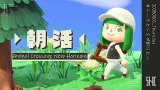 chillタイムを過ごしたい【 あつまれどうぶつの森 ┊ 葉摘煎茶 ┊ vtuber 】