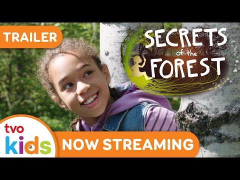 SECRETS OF THE FOREST🌲✨ (Trailer) NOW STREAMING | TVOkids