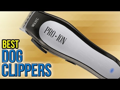 8 Best Dog Clippers 2017 - UCXAHpX2xDhmjqtA-ANgsGmw