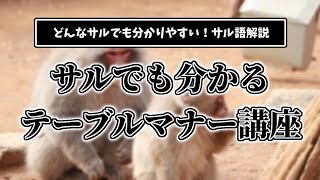 【猿向け】サルでも分かるテーブルマナー講座【初級】