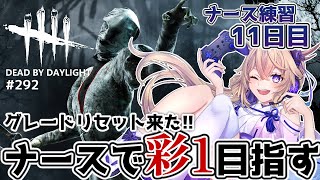 【dbd】ナース練習11日目！グレードリセット直後だけど彩1目指す【百雲みや/Dead by Daylight/デドバ /デッドバイデイライ