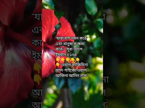 আপনি কি জানেন, রাগ দমন করা মানুষকেই আল্লাহ সবচেয়ে ভালোবাসেন❓#আচরণ #ধৈর্য #ইসলাম #islamicvideo