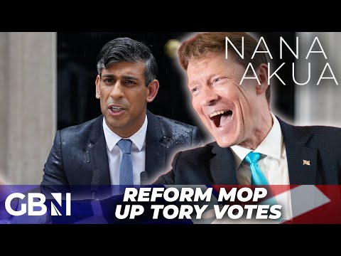 Reform ‘most likely’ to DAMAGE Sunak’s chances of victory as top pollster reveals CRUCIAL strategy