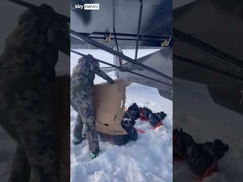 Thanksgiving turkeys dropped from plane