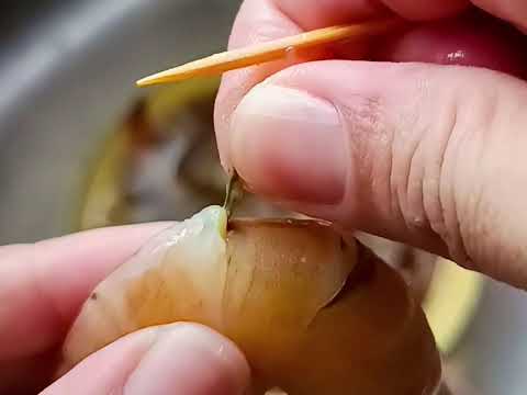 Cara Siang & Bersihkan Udang Cara Saya | Tanpa Kopek kulit