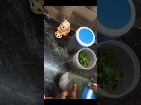 கொத்தமல்லி புதினா இப்படி வச்சா ஒரு வாரம் வரும் #coriander #leaves #mint #fridgestorage #idea #tips