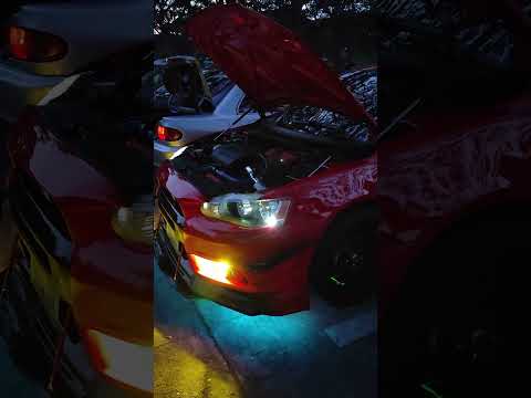 Local CAR MEET at Crocodile Park