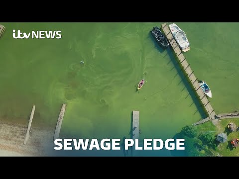 Government pledges to 'halve sewage pollution' by 2030 | ITV News
