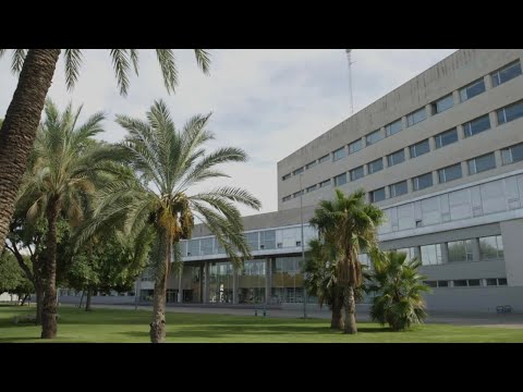 Samsung Innovation Campus: Inspiring the Youth | Samsung