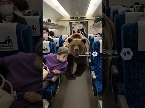 新幹線に熊現る