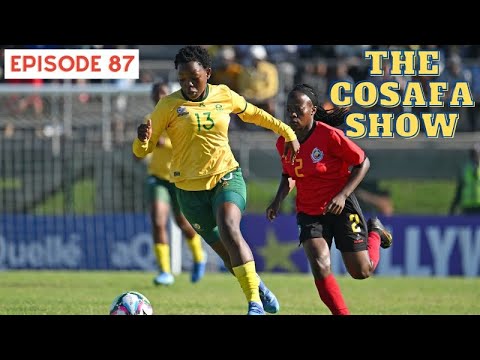 The COSAFA Show E87