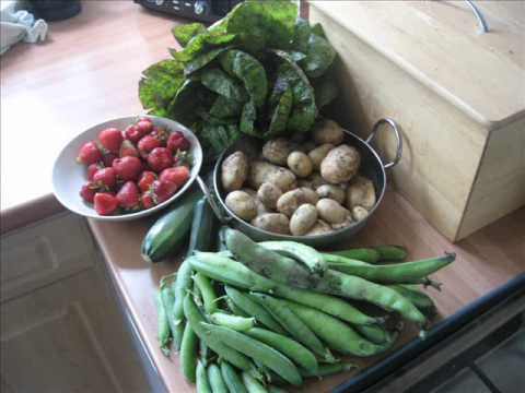 ORGANIC VEGETABLE GROWING IN BOLTON (UK)