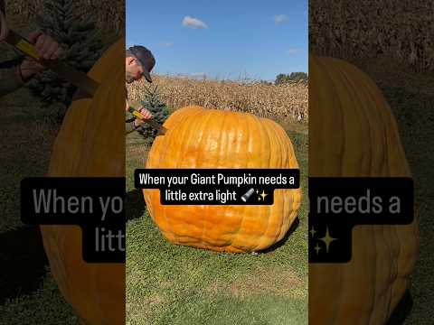 Carving a GIANT Pumpkin into the Ultimate Jack-O’-Lantern 🎃
