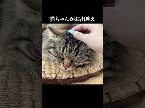 全4室の極上プライベート宿
