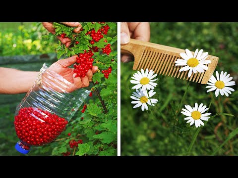 Ultimate Family Garden Secrets