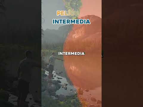 El invento que los pescadores esperaban 😲