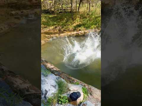 A belly flop before a hike… fitting #hike #water #swim #bellyflop #creek
