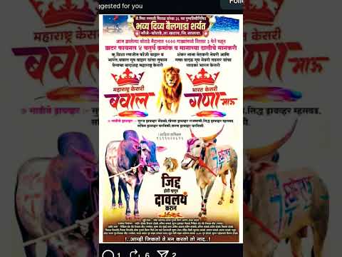 बवाल आणि गणाभाऊ | फायनल व गुलालाचे मानकरी | #बकासुर #नाद #bailgadasharyat #bakasur #bull #cow
