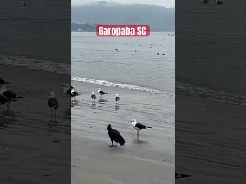 Garopaba SC