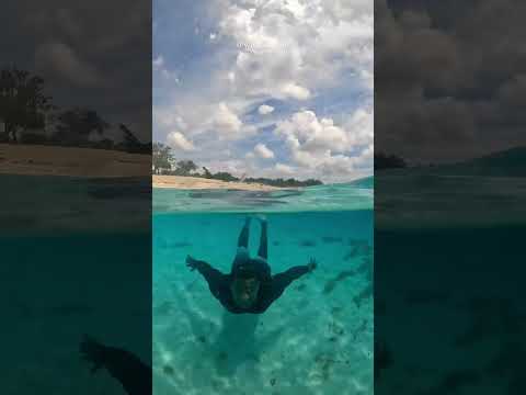 Recorrido por Bahía de Las Águilas Dominican Republic