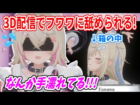 箱の中身を当てるゲームで、箱の中のフワワがモコちゃんの指を舐め、怖がらせる！【ホロライブ切り抜き/FUWAMOCO/フワモコ】