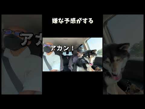 嫌な予感がする