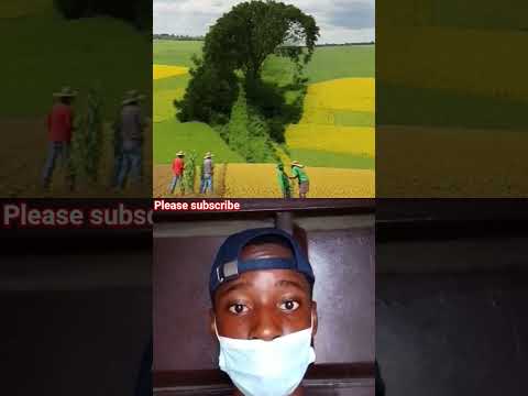 Do you see Jesus #jesus #foryou #shorts #trending #viral