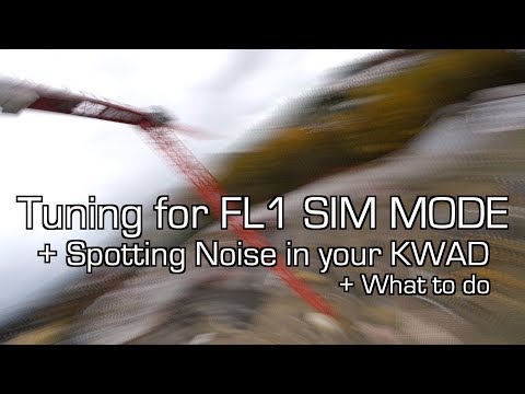 Tuning for Flightone Sim Mode + Spotting Noise in your Kwad  + Capacitors - UCWfmfJNG5jkQTGIPDDBUXkA
