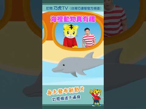 巧虎【知識小補帖】海裡動物真有趣｜預告片 #幼兒 #親子 #育兒 #卡通 #動畫