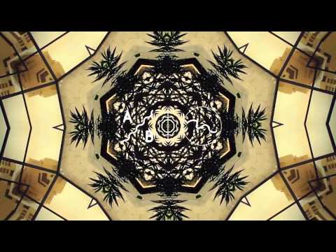 Tülpa - Fine Lines One Time - UC8Q5HV1t39MhlNuQi9Xh8LA