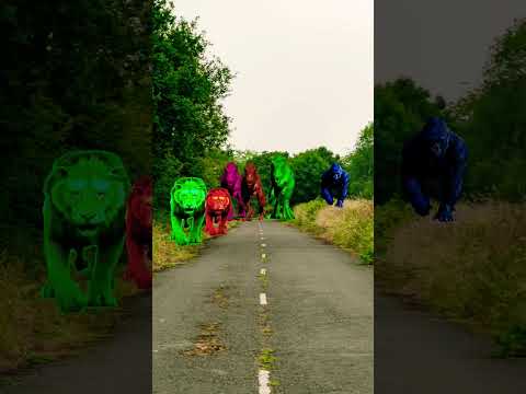 Big dinosaur Chase t-rex chasing part-249#shorts #youtube #suprman #dinosaur #jurassicworld