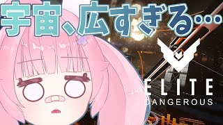 【Elite Dangerous】配達うさぎ、銀河をゆく。チルい時間を届けます🚀【まったり実況】