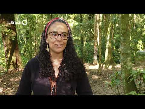 Caminhos da Reportagem | Uma Floresta no Coração do Rio