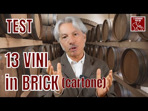 "Li assaggio per voi": 13 VINI in "BRICK" (cartone)!