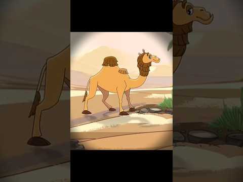 How Camels Store Water in the Desert 🐪💧 | Amazing Animal Facts