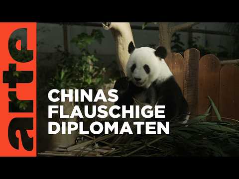 Die Panda-Diplomatie (2/2) | Doku HD | ARTE