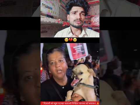 दिवाली में पटाखा चलाएं तो जानवरों को बचाकर 🧨🙏 #YouTube #video #creator #reels