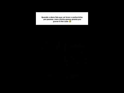 Cachorrinho surpreende o pessoal dentro do ônibus,por sua aparência de um leão selvagem