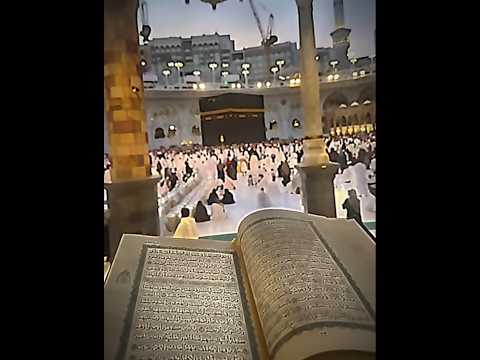 The Most Famous Book !! 💀📖#islam#trending#shorts#shortsfeed#youtubeshorts#islamic#allah