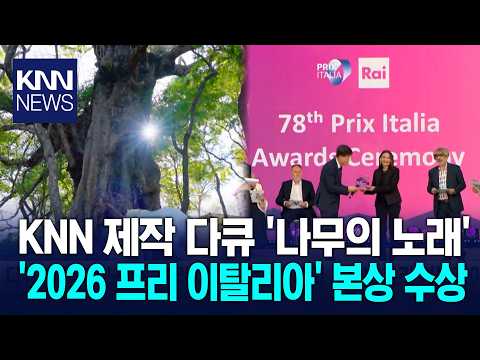 KNN 다큐 [나무의 노래], <strong>프리</strong> 이탈리아 본상 수상 / KNN