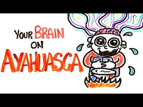 Your Brain On Ayahuasca: The Hallucinogenic Drug - UCC552Sd-3nyi_tk2BudLUzA