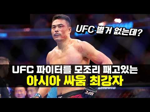 판정승이 하나도 없는 진정한 아시아 싸움 1위 !!? 등장하자마자 UFC 파이터들을 모조리 패버린 장밍양 ㄷㄷ 판정승이 하나도 없는 진정한 아시아 싸움 1위 !!? 등장하자마자 UFC 파이터들을 모조리 패버린 장밍양 ㄷㄷ